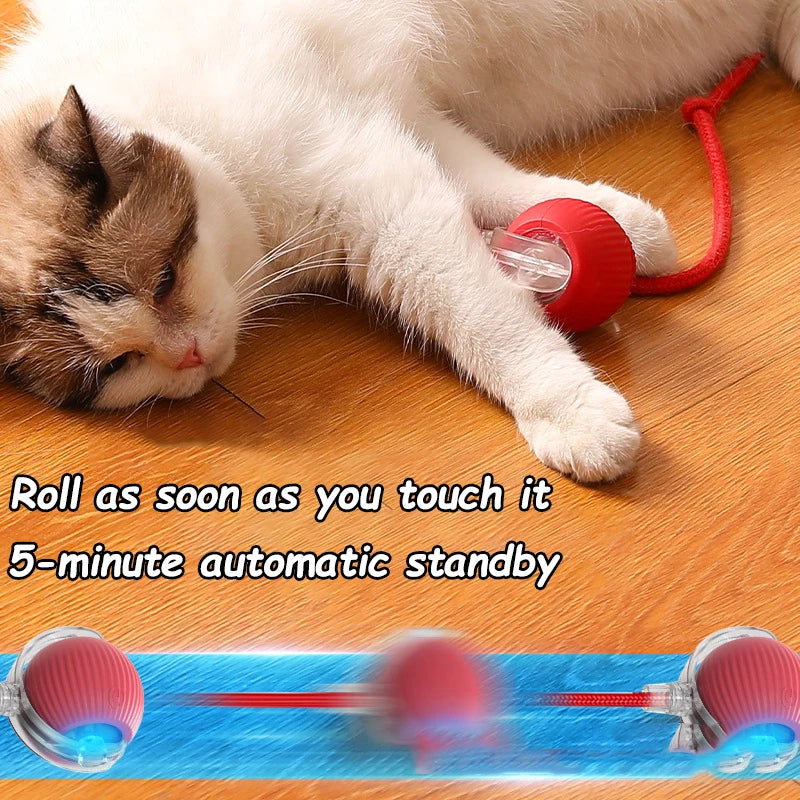 ToysSmart™